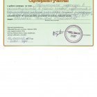 Сертификат 2024.jpeg