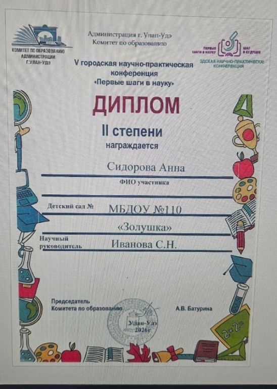 диплом 2 место.jpg