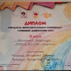 Диплом 2 место Коктышнв Александр.jpg